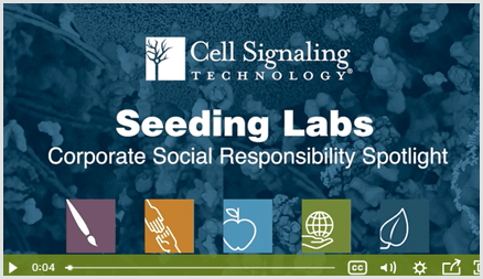 Cell Signaling Technology VIdeo