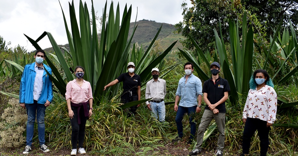 Dr. Esteban Garcia-Tamayo (second from right) and colleagues at the Universidad Pontifica Boliviarana are transforming fique, the plant pictured behind them, into energy